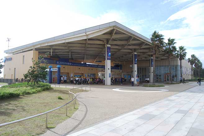 片瀬西浜エリア