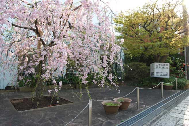 山手60番館歯科医院