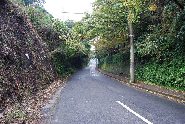 極楽寺坂切通し地区