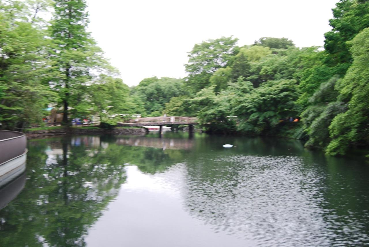 井の頭恩賜公園エリア