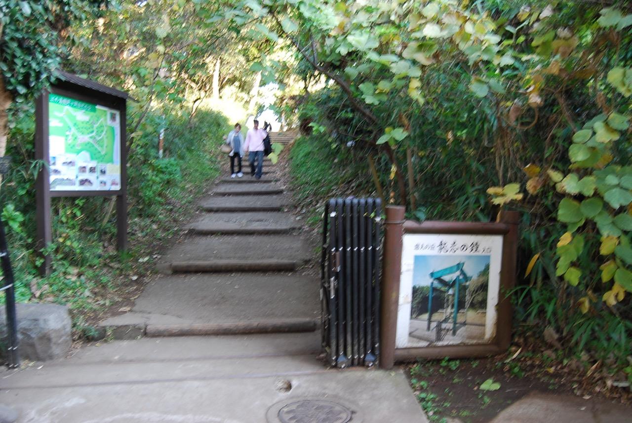 龍野ヶ岡自然の森
