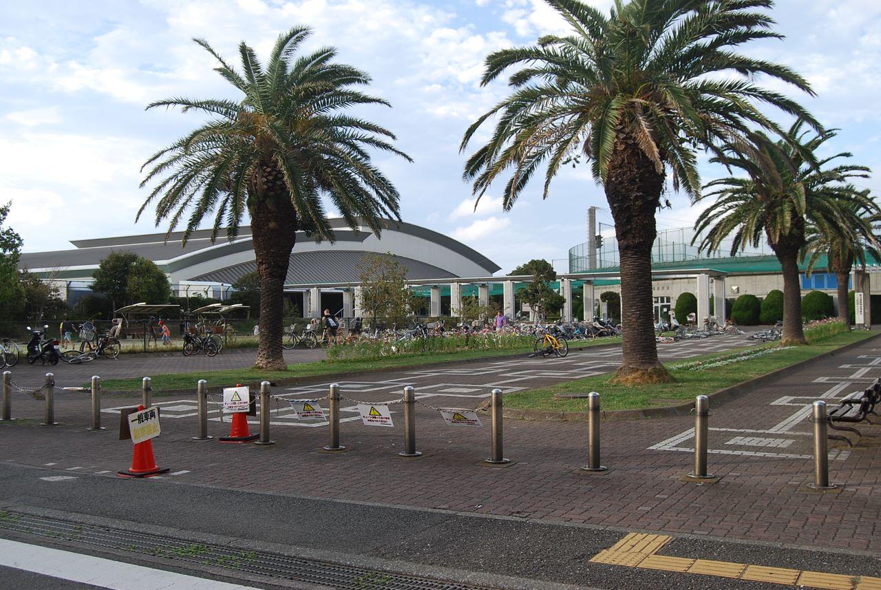 鵠沼運動公園地区