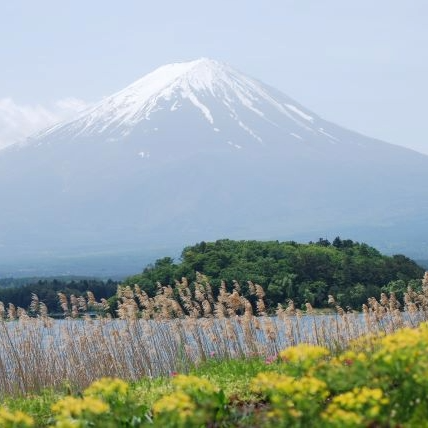 山梨県の観光旅行情報